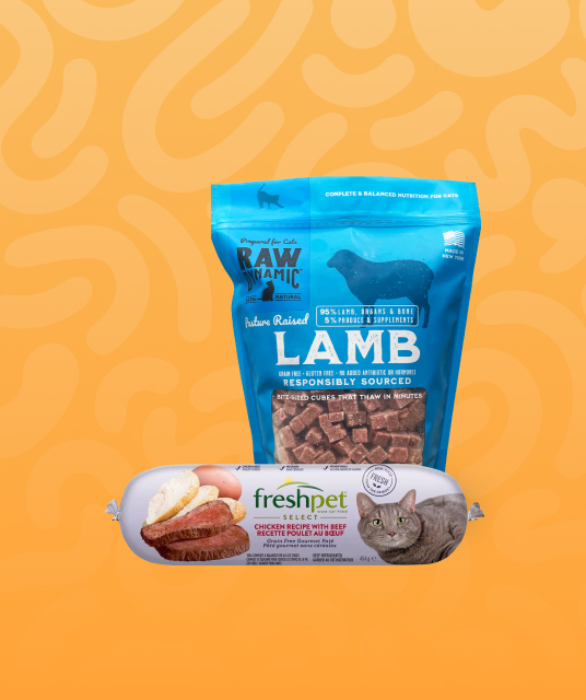 comparison chart of iget. vapes versus generic brands 2026 market analysis