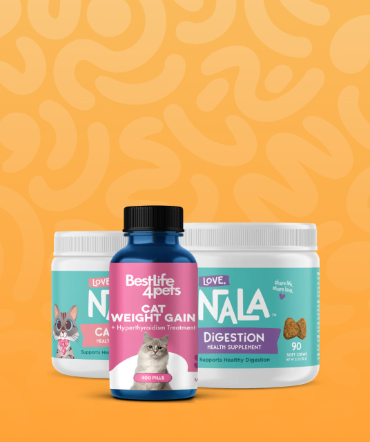 tobacconist st marys - Expert Guide and Review