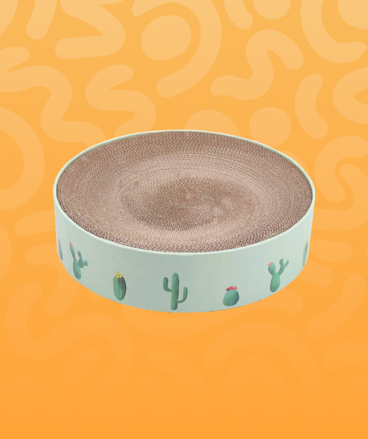 tobacconist gladstone regional market comparison infographic showing 2026 statistics