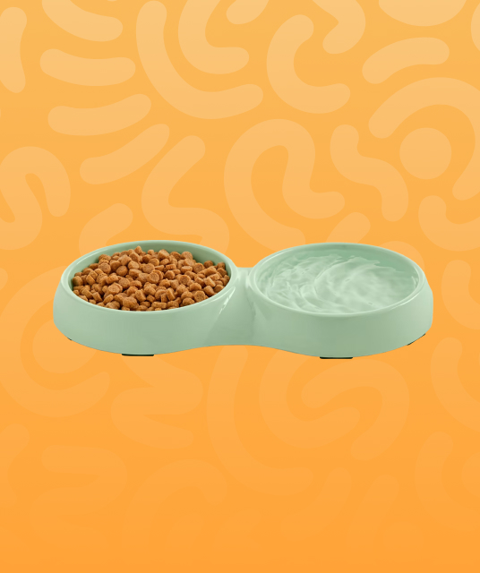 igt australia 2026 product line-up on Australian shelf