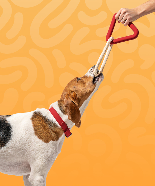 vape central price comparison chart Australia 2026