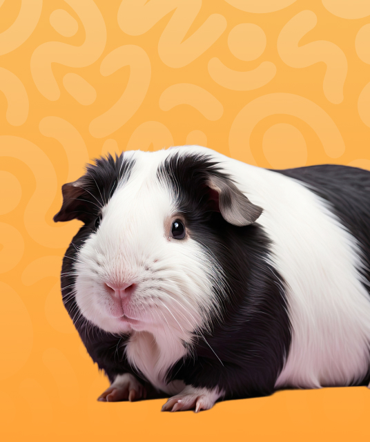 vape flavours australia optimal draw technique diagram