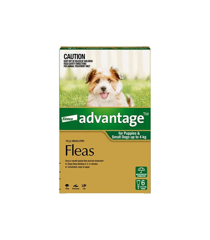 detailed comparison chart of white yoga pants fabrics asking is it squat proof