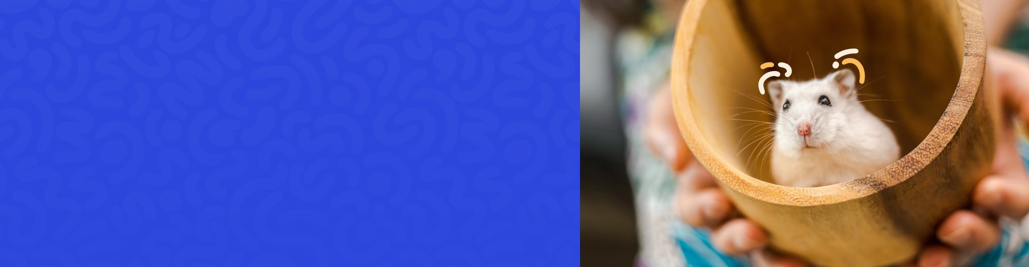 toukley tobacconist - Expert Guide and Review