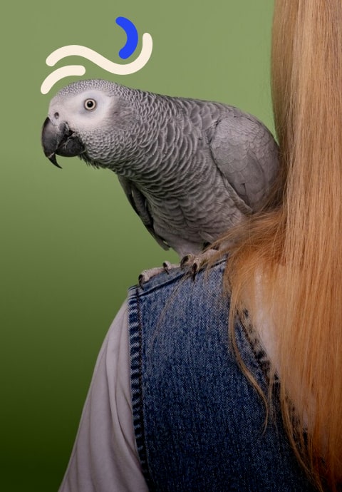 caloundra vape shop - Happy customer using a vape device at Golden Beach Caloundra with sunset background