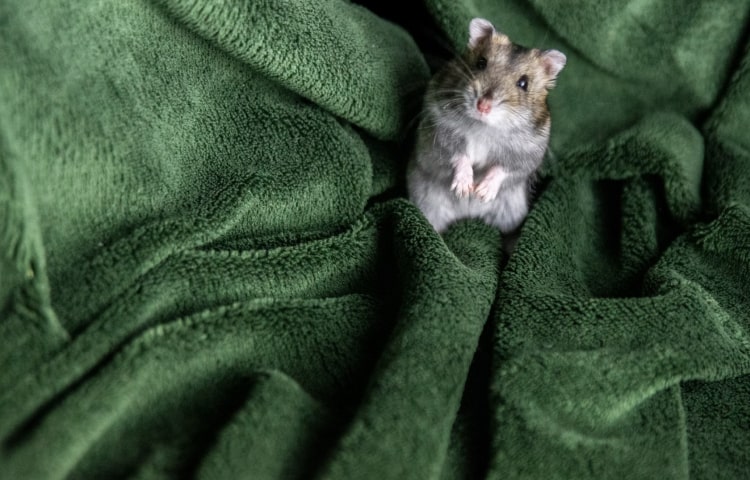 tobacconist warrnambool - happy customer using vape device near warrnambool breakwater