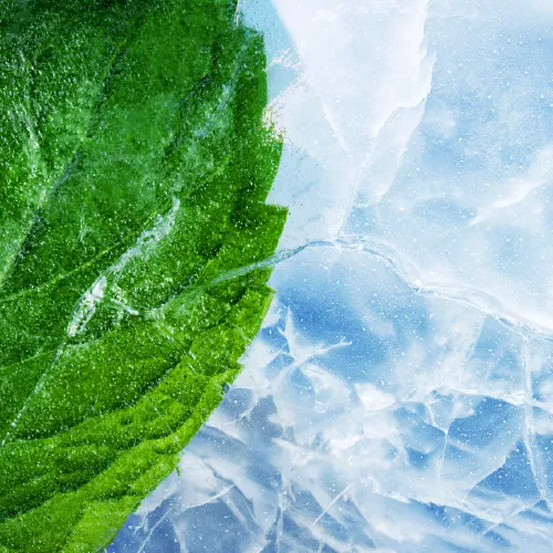 cheapest vapes - James Mitchell Headshot