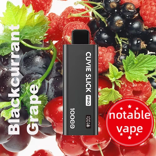 user enjoying black ice vape outdoors in Sydney with device in hand