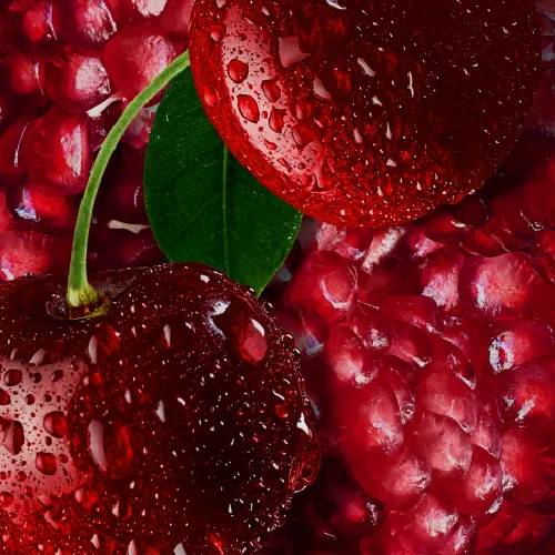 modern tobacconist portland storefront comparison 2026