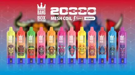 BangBox 20000 Puffs -10 packs or more