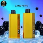 Alibarbar TEQ 12000 Puffs-Blackberry Ice - Blackberry Ice
