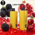 Alibarbar TEQ 12000 Puffs-10 packs(Ship from overseas) - Image 4