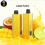 Alibarbar TEQ 12000 Puffs-Passionfruit Mango Lime - Passionfruit Mango Lime