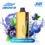 JNR Cruiser 12000 Puffs –Blueberry Blast