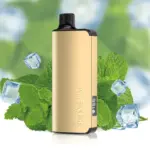 ALIBARBAR INGOT Cool Mint 9000 Puffs 10 pack on sale(Ship from oversea) - California Sunset