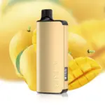 ALIBARBAR INGOT Mango Magic 9000 Puffs