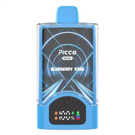 Picco Break 30000 Puffs – Blueberry Kiwi