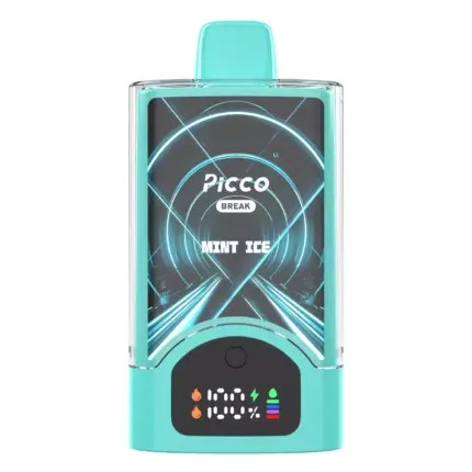Picco Break 30000 Puffs – Mint Ice