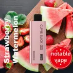 HQD Slick Pro - Strawberry Watermelon - 10,000