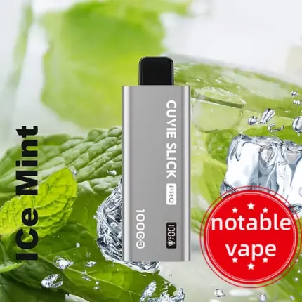 HQD Slick Pro - Ice Mint - 10,000