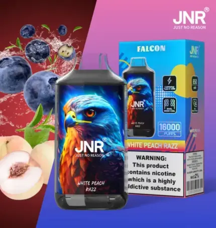 JNR Falcon 16000 Puffs 10 Packs (Ship from oversea)