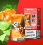 JNR Falcon 16000 Puffs 30 Packs (Ship from oversea) - Image 6
