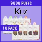 KUZ LUX 9000 Puffs-Wholesale-10 pack - Kiwi Dragon Fruit